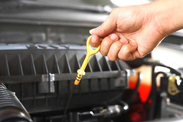 Adding New Oil and Ensuring Proper Levels