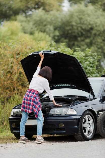 Communicating with Roadside Assistance Services