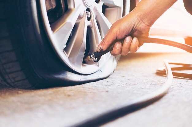 Preparing the Tire and Tools for Repair