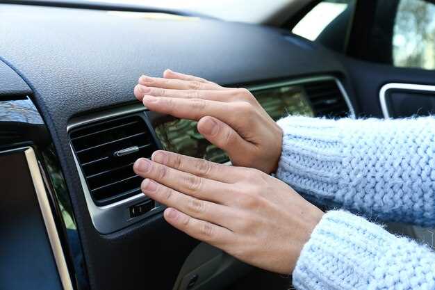 Choose the Right Products for Cleaning and Freshening Your Car Interior